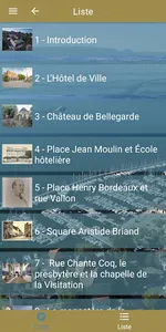 VISITHONON screenshot 3