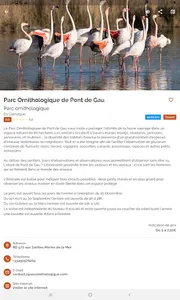 Arles and Camargue screenshot 11