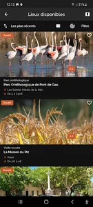 Arles and Camargue screenshot 2