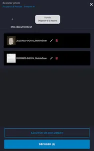 Rougagnou & Associés screenshot 11