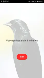 Melro Selvagem screenshot 5