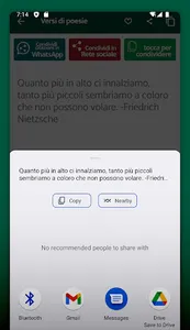 Versi belli di poesie italiane screenshot 14