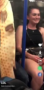 Funny Videos screenshot 3