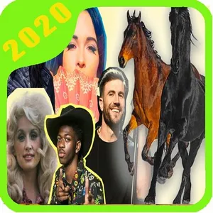 Music Old Town Road screenshot 3