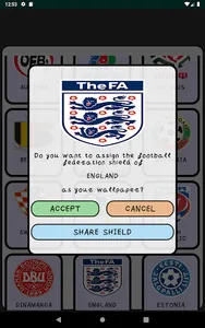 Emblems Football Federations screenshot 6