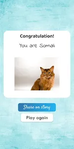 What cat breed are you? Test screenshot 3