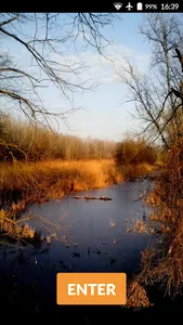 Nature Pictures HD Wallpapers screenshot 4