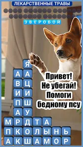 Пушистые Друзья: Игра в слова screenshot 10