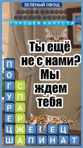 Пушистые Друзья: Игра в слова screenshot 9