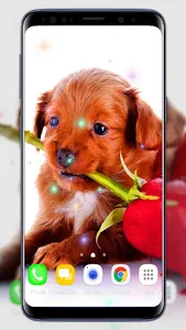 Cute Puppies Live Wallpaper screenshot 0