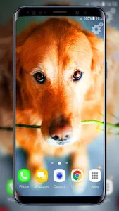 Cute Puppies Live Wallpaper screenshot 2