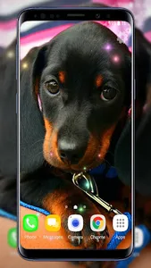 Cute Puppies Live Wallpaper screenshot 3