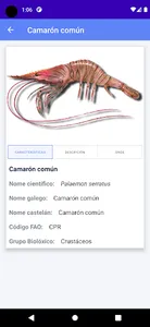 PescadeRías ¿de onde se non? screenshot 4