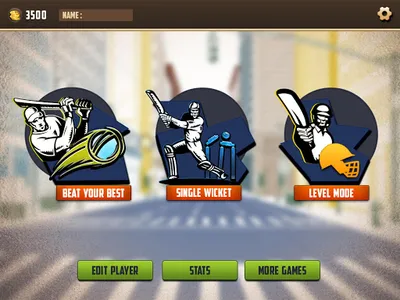 T20 Street Cricket Game screenshot 11