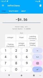 IntFmt Demo screenshot 3