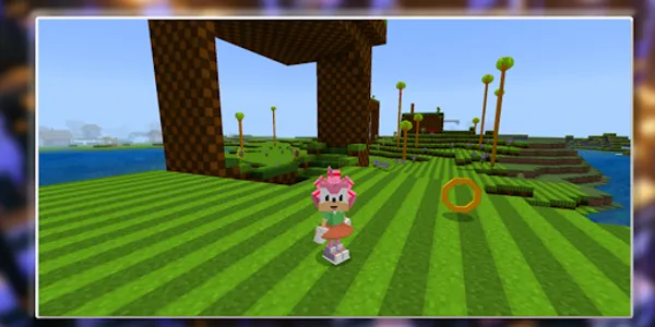 Sonic mod Minecraft screenshot 15