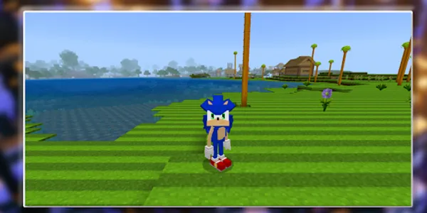 Sonic mod Minecraft screenshot 20