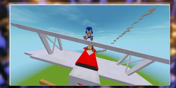 Sonic mod Minecraft screenshot 21