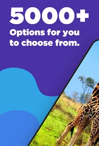 Giraffe Wallpapers screenshot 1
