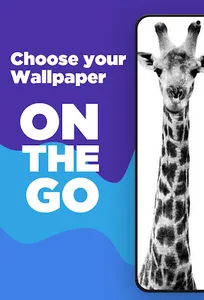 Giraffe Wallpapers screenshot 5