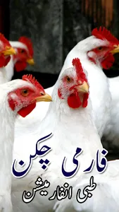 Chicken Farm Information screenshot 0