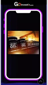 GoinvestEr screenshot 6