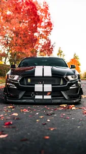 Ford Mustang Wallpapers screenshot 0