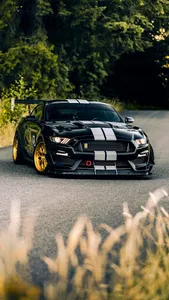 Ford Mustang Wallpapers screenshot 16