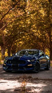 Ford Mustang Wallpapers screenshot 9