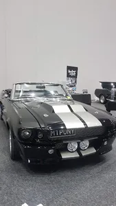 Shelby GT500 Eleanor screenshot 0