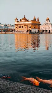 Golden Temple of Amritsar screenshot 9