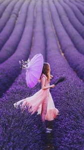 Lavender Wallpapers screenshot 5