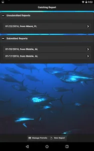 Catch Reporting screenshot 9