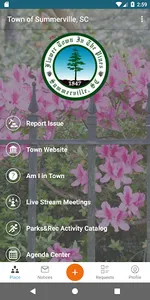 Town of Summerville screenshot 0