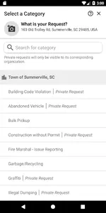 Town of Summerville screenshot 2