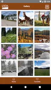 Lolo US National Forest screenshot 5