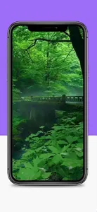 Green Wallpapers HD screenshot 10