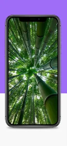 Green Wallpapers HD screenshot 5