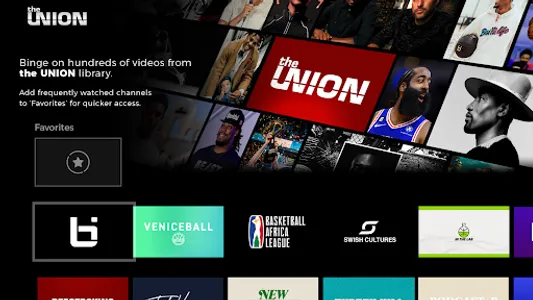 The Union screenshot 0