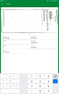 Depósitos Remotos screenshot 11