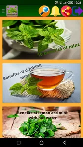 health benefits of mint screenshot 0