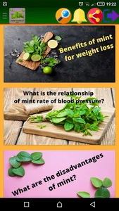 health benefits of mint screenshot 2
