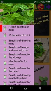 health benefits of mint screenshot 3