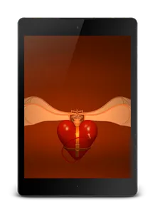 Heart Video Wallpaper screenshot 7