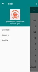 My Hinganghat screenshot 6