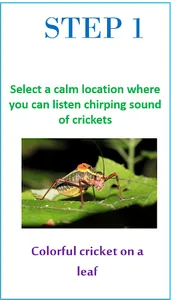 HiTime Cricket Thermometer screenshot 0