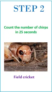 HiTime Cricket Thermometer screenshot 1