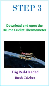 HiTime Cricket Thermometer screenshot 2
