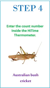HiTime Cricket Thermometer screenshot 3