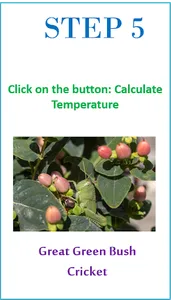 HiTime Cricket Thermometer screenshot 4